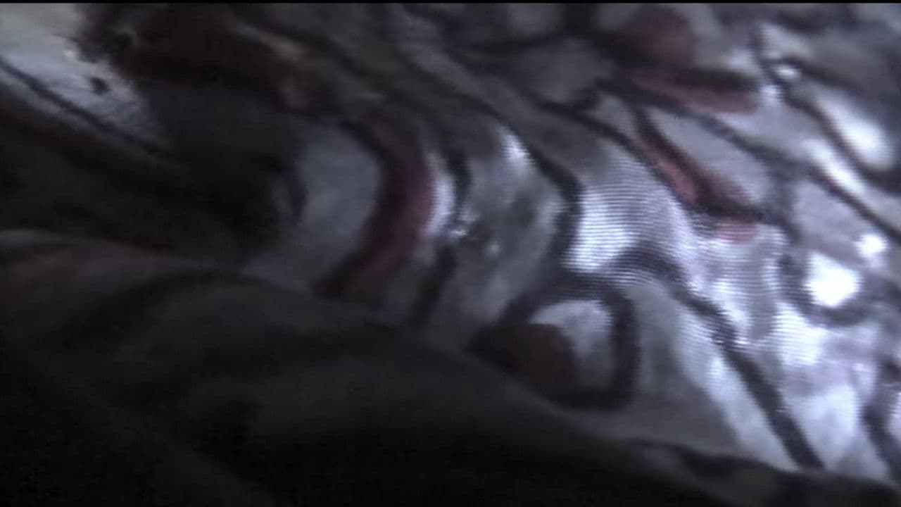 Венеция 70: Перезагрузка будущего