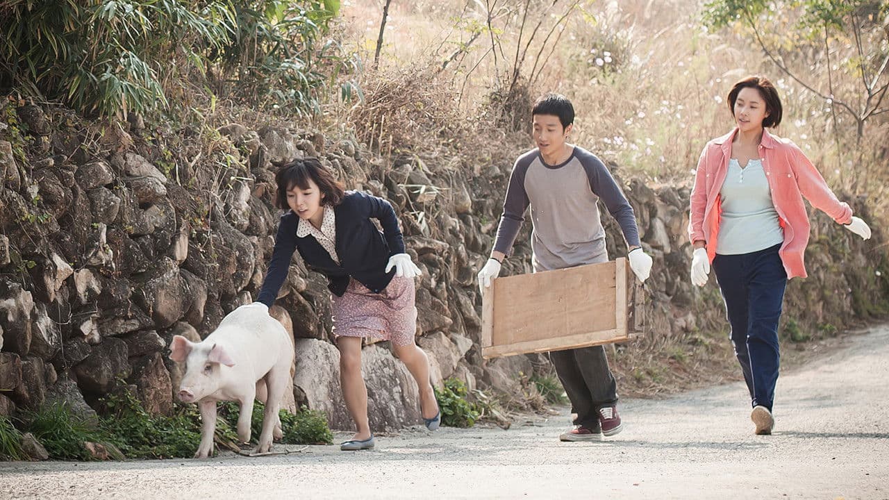 Девушка-свинка